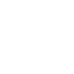 ce logo Hammond