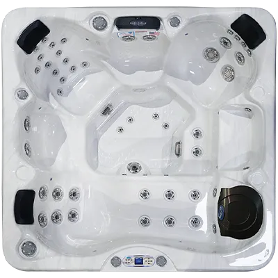 Avalon EC-849L hot tubs for sale in Hammond